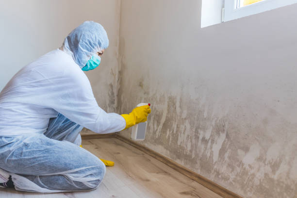 Hvac And Air Duct Mold Remediation inspection of HVAC system in Pflugerville